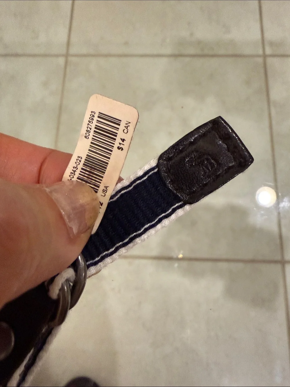 abercrombie kids Navy and White Webbing Belt with Brown Leather Accents